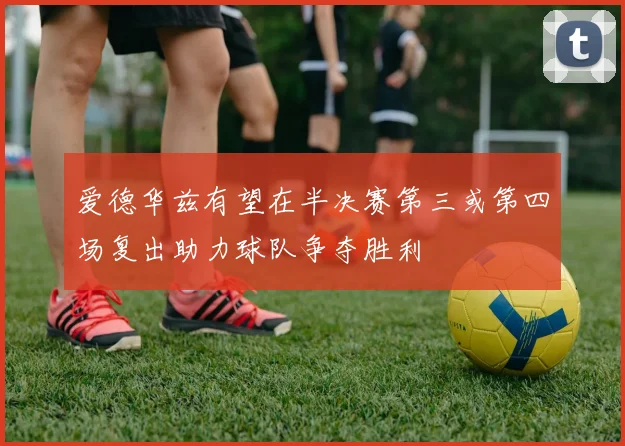 爱德华兹有望在半决赛第三或第四场复出助力球队争夺胜利