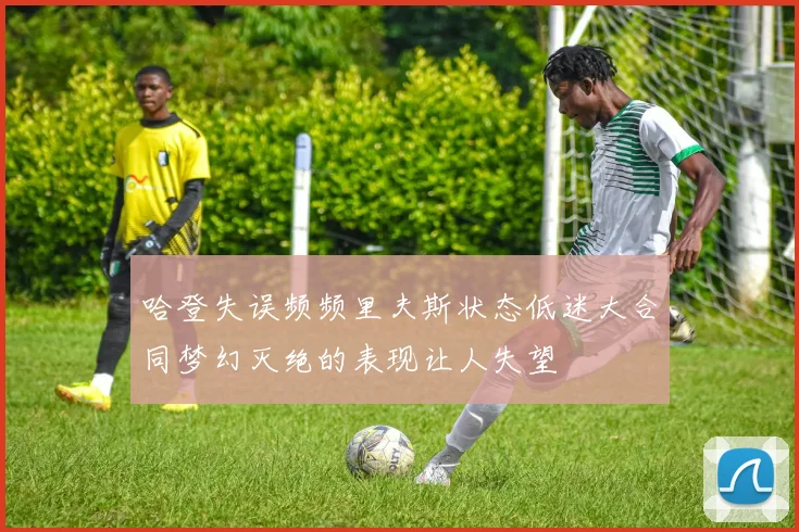 哈登失误频频里夫斯状态低迷大合同梦幻灭绝的表现让人失望